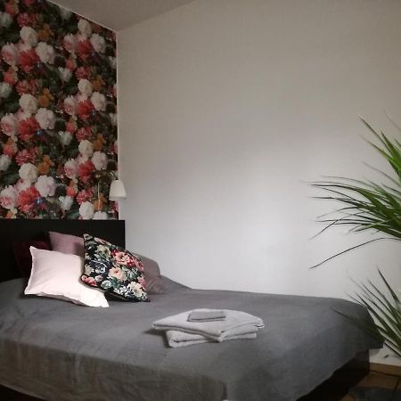 Business&Relax Apartment 14 พอซนาน ภายนอก รูปภาพ
